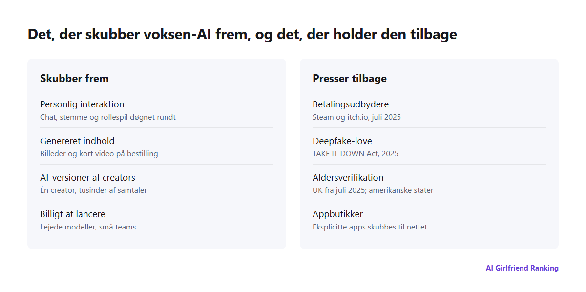 Kræfter, der former AI i voksenindustrien: personalisering, genereret indhold og AI-kloner skubber fremad, mens betalingsudbydere, deepfake-love, alderstjek og appbutikker presser tilbage
