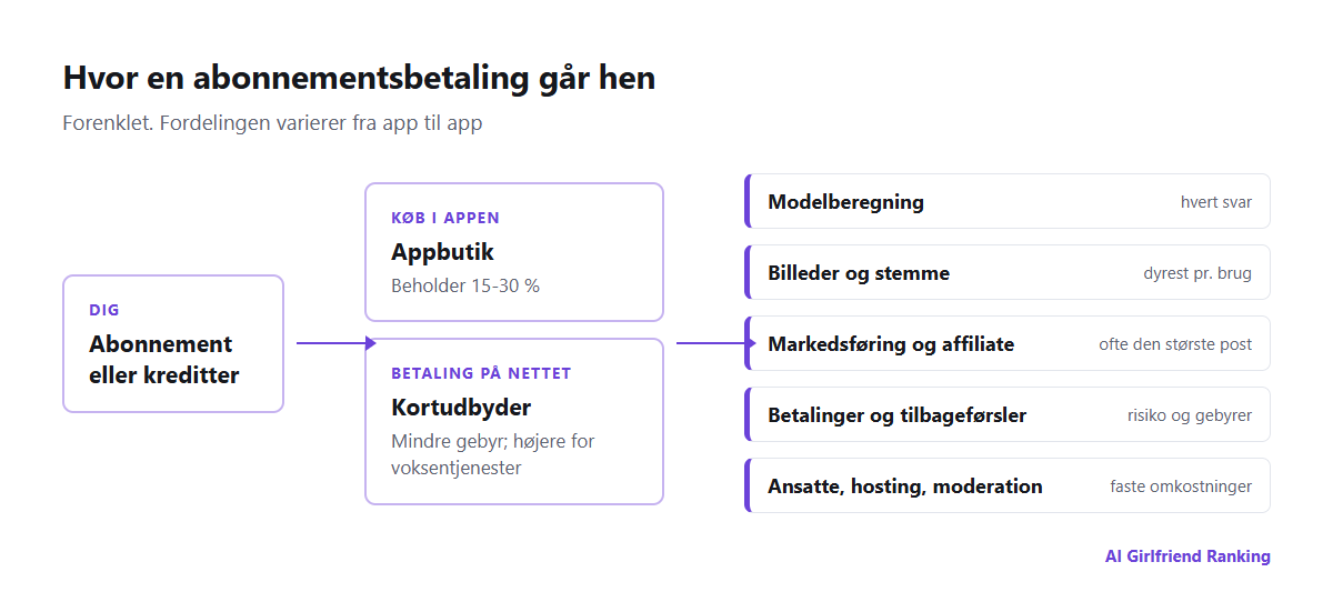 Diagram over, hvordan penge strømmer gennem en AI-companion-app: brugeren betaler via en appbutik eller betaling på nettet, butikken tager en provision, og virksomheden betaler for modelberegning, billed- og stemmegenerering, betalingsbehandling, affiliate-provision og ansatte