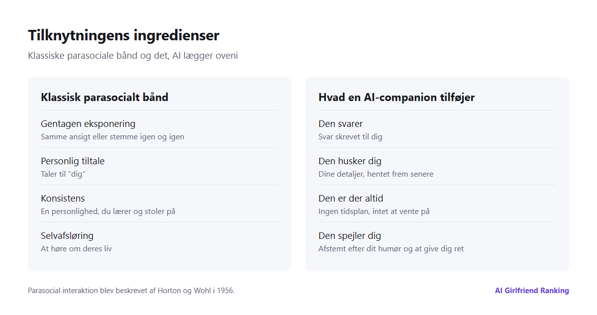 Diagram over tilknytningens ingredienser: klassiske parasociale faktorer som gentagelse, personlig tiltale og konsistens, plus AI's tilføjelser: svar, hukommelse om dig og konstant tilgængelighed